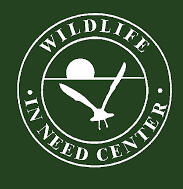 Wildlife In Need